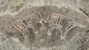 Major Conservation Push for Konkan Petroglyphs (Maharashtra)