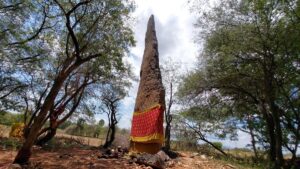 26-Foot Megalithic Menhir Excavation at Kumarikalpalayam (Tirupur, Tamil Nadu)