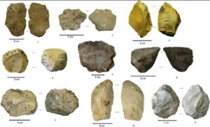 Middle Palaeolithic Tool-Making Site Identified Near Vellore, Tamil Nadu