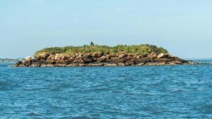 Bet Dwarka Excavations Reveal Evidence of Ancient Maritime Trade Networks