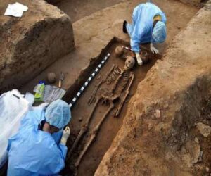 Rakhigarhi Human Burials Handed Over for Advanced Scientific Study