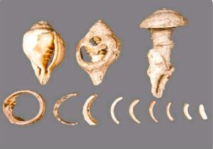 Pattanamarudur: Tamil Nadu’s Largest Ancient Shell-Working Site?